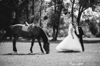 Мартін&Ліза … - Фото 9