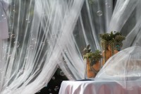 Мартін&Ліза … - Фото 49