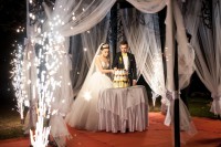 Мартін&Ліза … - Фото 103