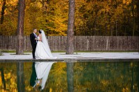 Дмитро&Ірина… - Фото 31