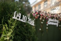 Валентин&Ірина… - Фото 27