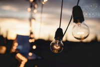 Презентація фудтраку від ТМ “Дмитрук” - Фото 95