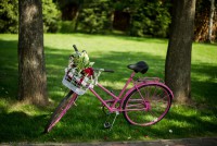 Ігор&Віталія… - Фото 31