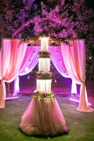 Андрій&Катя… - Фото 187