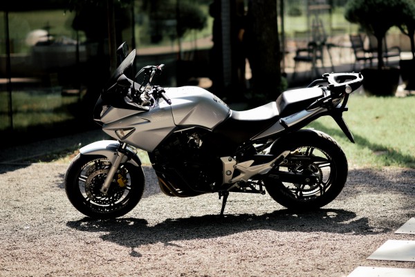 Богдан&Тетяна - Фото 92