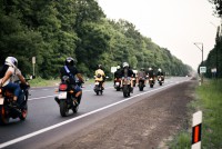 Богдан&Тетяна - Фото 163