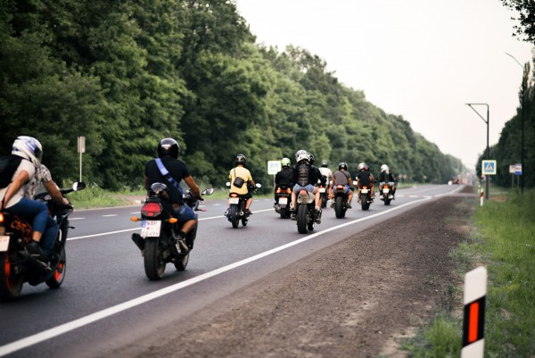 Богдан&Тетяна - Фото 162