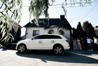 Тарас&Каріна… - Фото 55