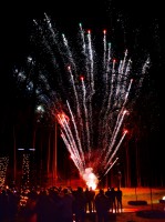 Busmarket! Happy New Year 2020! - Фото 115