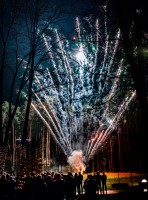 Busmarket! Happy New Year 2020! - Фото 117