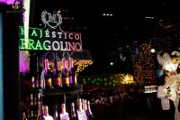 Презентація нового Fragolino Majestico! - Фото 127