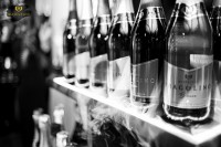 Презентація нового Fragolino Majestico! - Фото 137