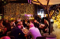 Презентація нового Fragolino Majestico! - Фото 167