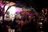 Презентація нового Fragolino Majestico! - Фото 77