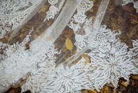 Іван & Іванна … - Фото 37