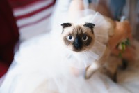 Артем&Катя… - Фото 45