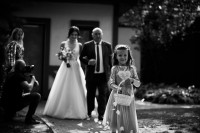 Роман & Вікторія - Фото 45