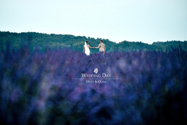 Портфоліо - Фото 6