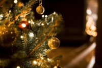 Корпоратив компанії Sladograd - Фото 21