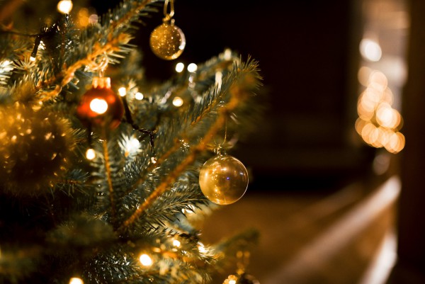 Корпоратив компанії Sladograd - Фото 20