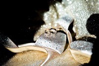 Ігор&Тетяна - Фото 17