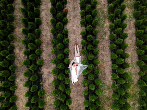 Олег&Ольга - Фото 142